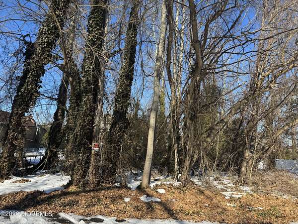 0.14 Acres of Land for Sale in Pine Beach, New Jersey