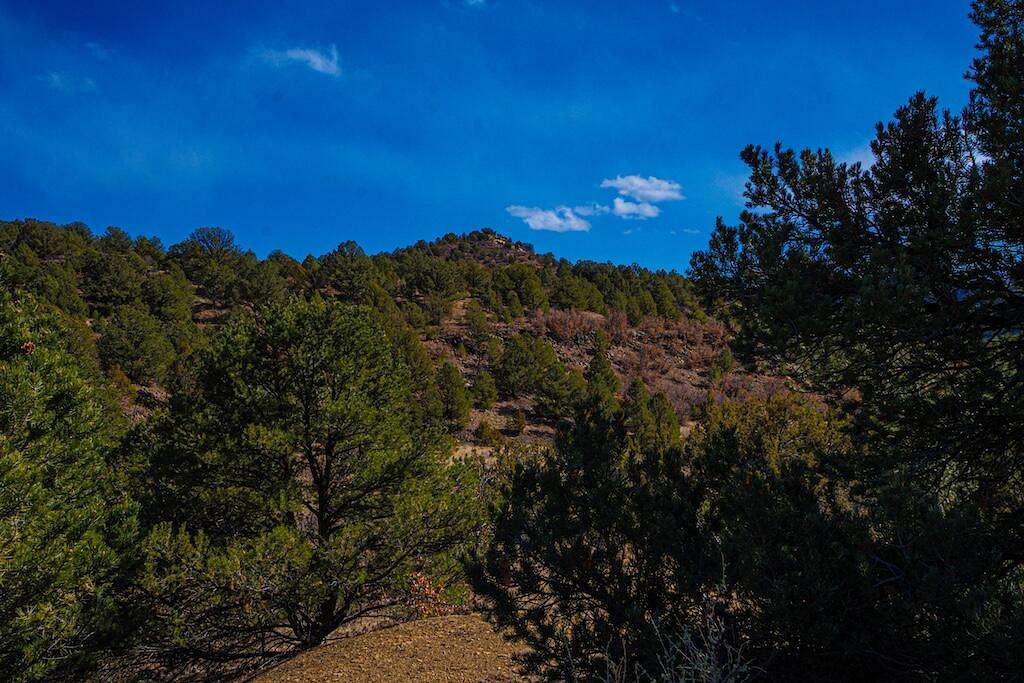 120 Acres of Land for Sale in Weston, Colorado