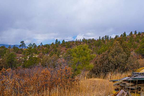 120 Acres of Land for Sale in Weston, Colorado