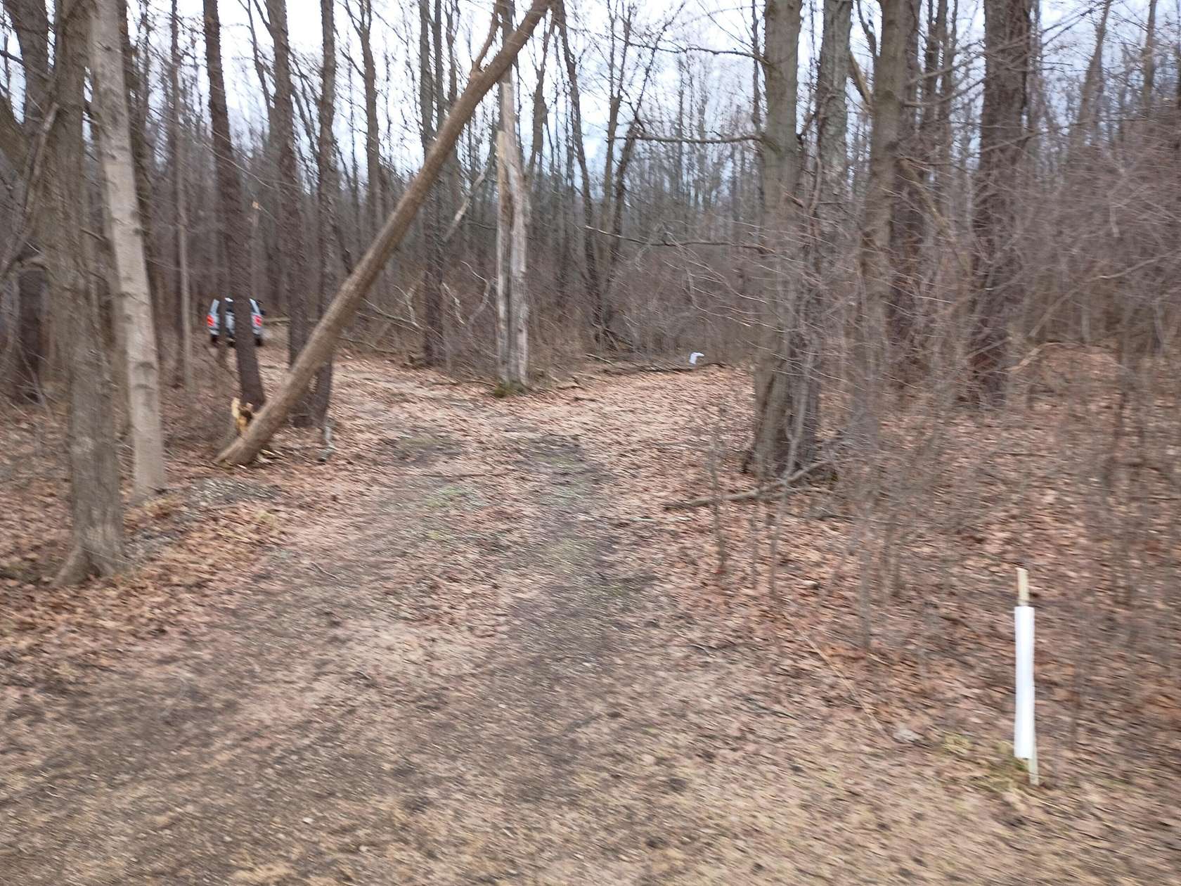 6.63 Acres of Residential Land for Sale in Bangor, Michigan