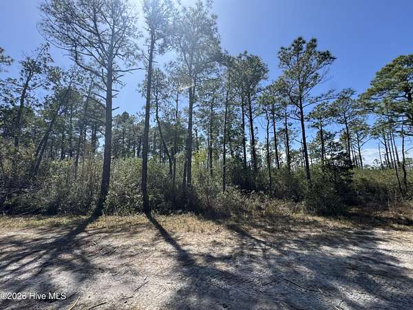 0.37 Acres of Land for Sale in Boiling Spring Lakes, North Carolina