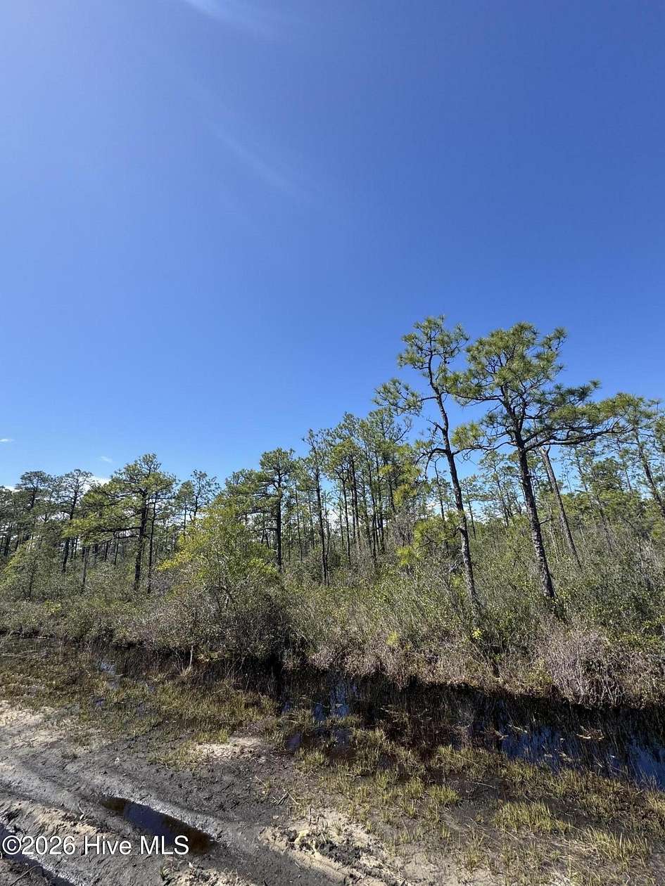 0.37 Acres of Land for Sale in Boiling Spring Lakes, North Carolina