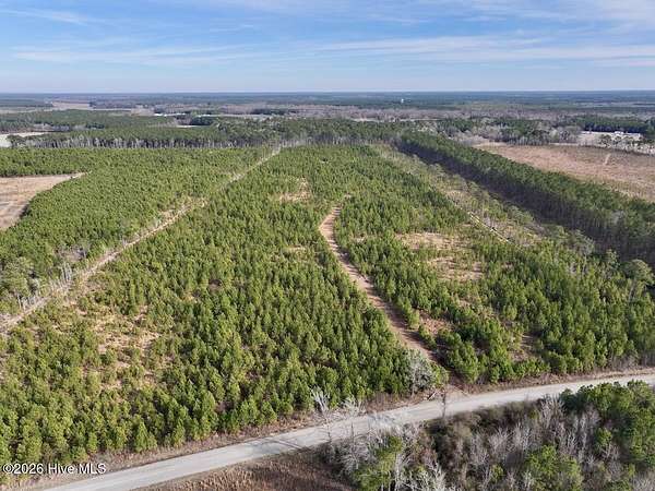 43 Acres of Recreational Land for Sale in Vanceboro, North Carolina