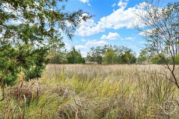 1.5 Acres of Residential Land for Sale in Savannah, Georgia