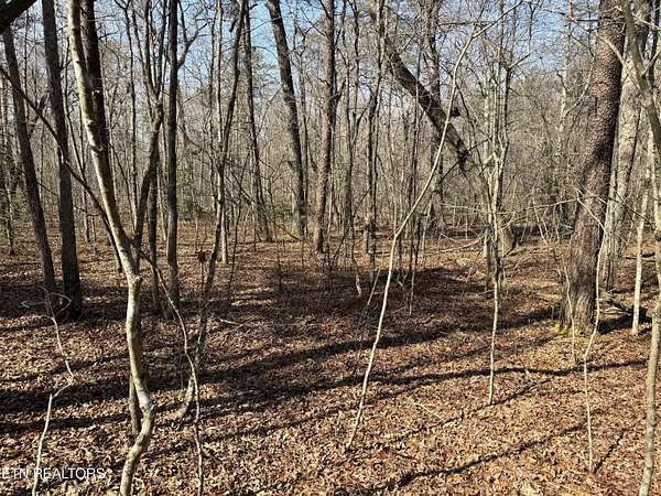 1.7 Acres of Residential Land for Sale in Monterey, Tennessee