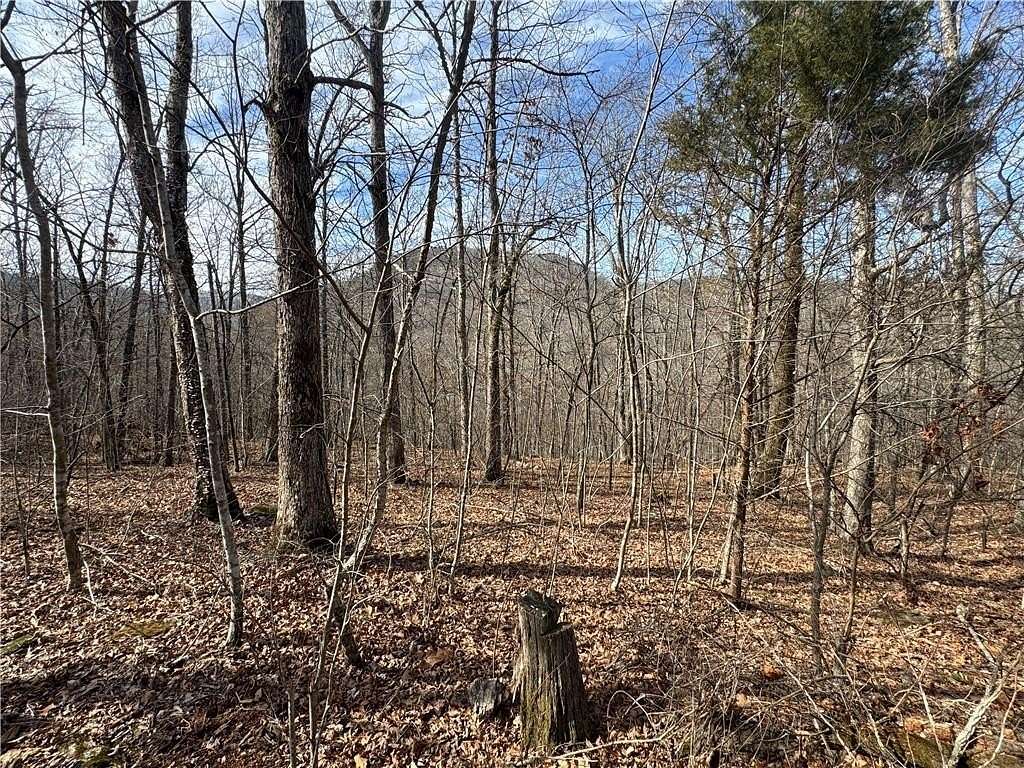 40 Acres of Recreational Land with Home for Sale in Jasper, Arkansas