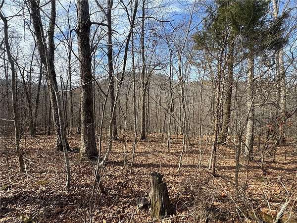40 Acres of Recreational Land with Home for Sale in Jasper, Arkansas