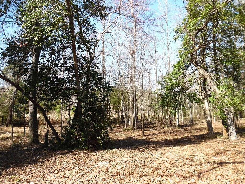 0.17 Acres of Residential Land for Sale in Murchison, Texas