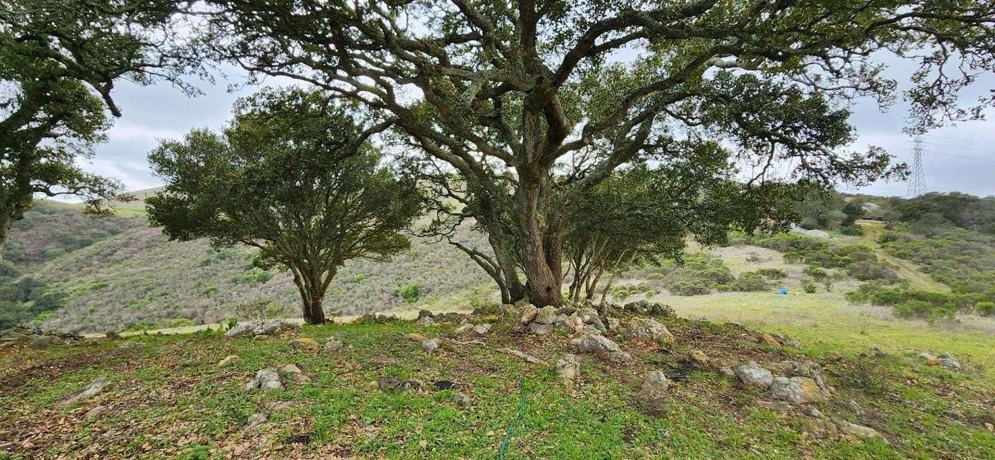 311 Acres of Recreational Land for Sale in San Juan Bautista, California