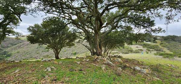 311 Acres of Recreational Land for Sale in San Juan Bautista, California