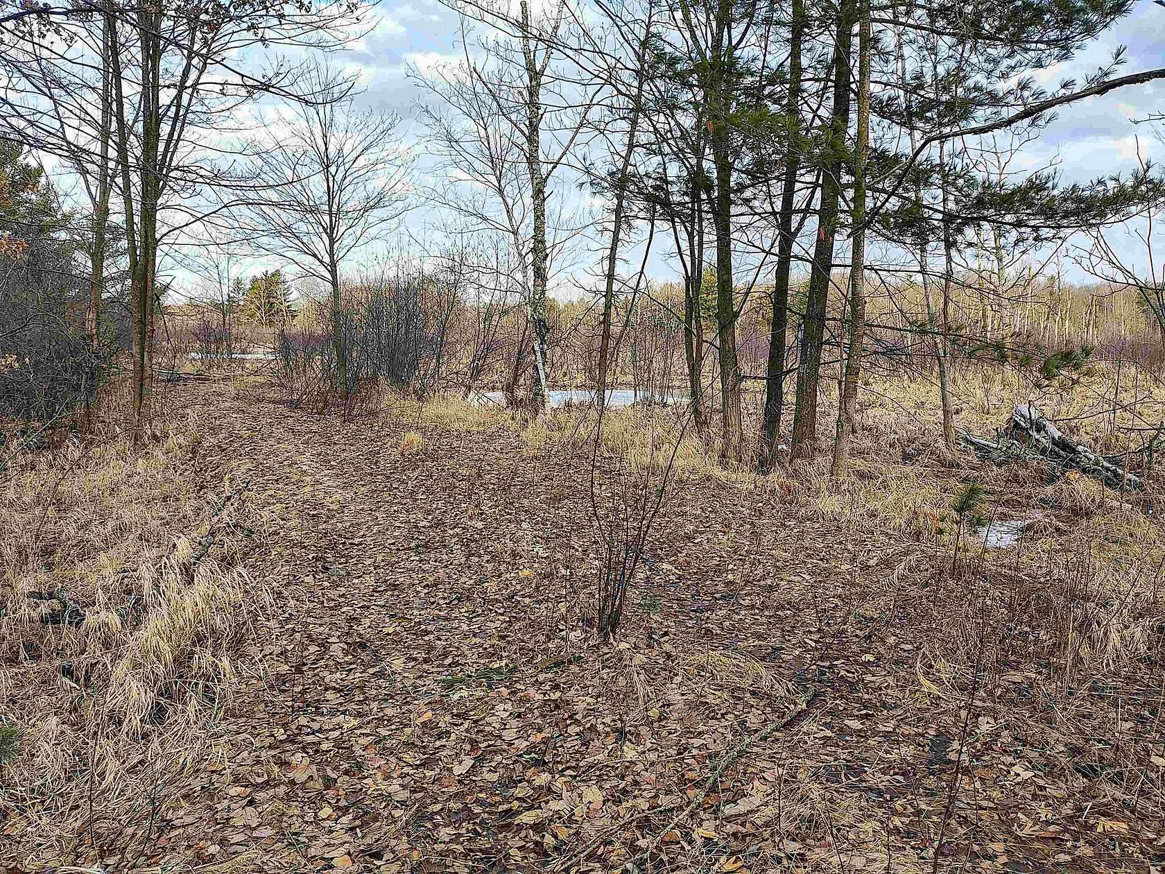 64.5 Acres of Recreational Land for Sale in Marshfield, Wisconsin