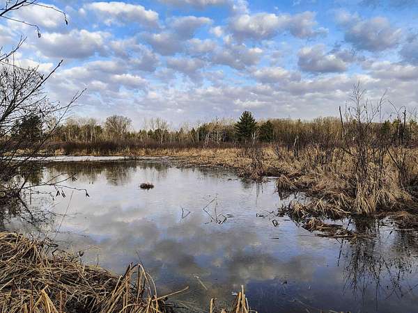 64.5 Acres of Recreational Land for Sale in Marshfield, Wisconsin