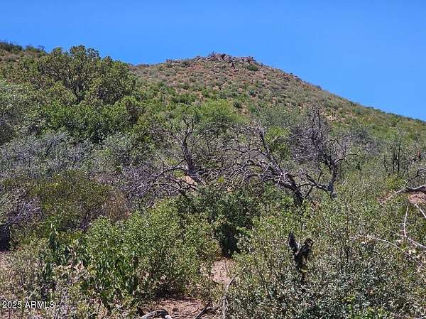 10 Acres of Land for Sale in Globe, Arizona