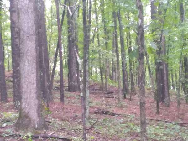 16 Acres of Recreational Land for Sale in Amity, Arkansas