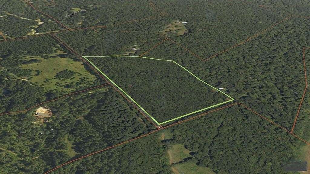 19.6 Acres of Land for Sale in Timpson, Texas