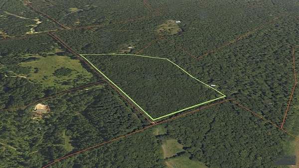 19.6 Acres of Land for Sale in Timpson, Texas