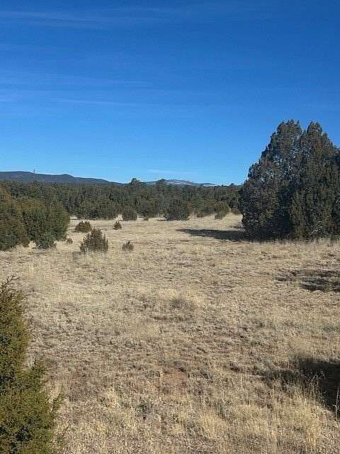 6 Acres of Residential Land for Sale in Ribera, New Mexico