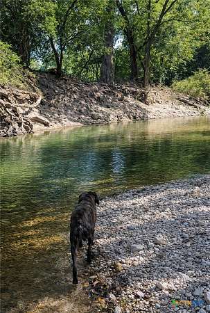 223 Acres of Land for Sale in Oglesby, Texas