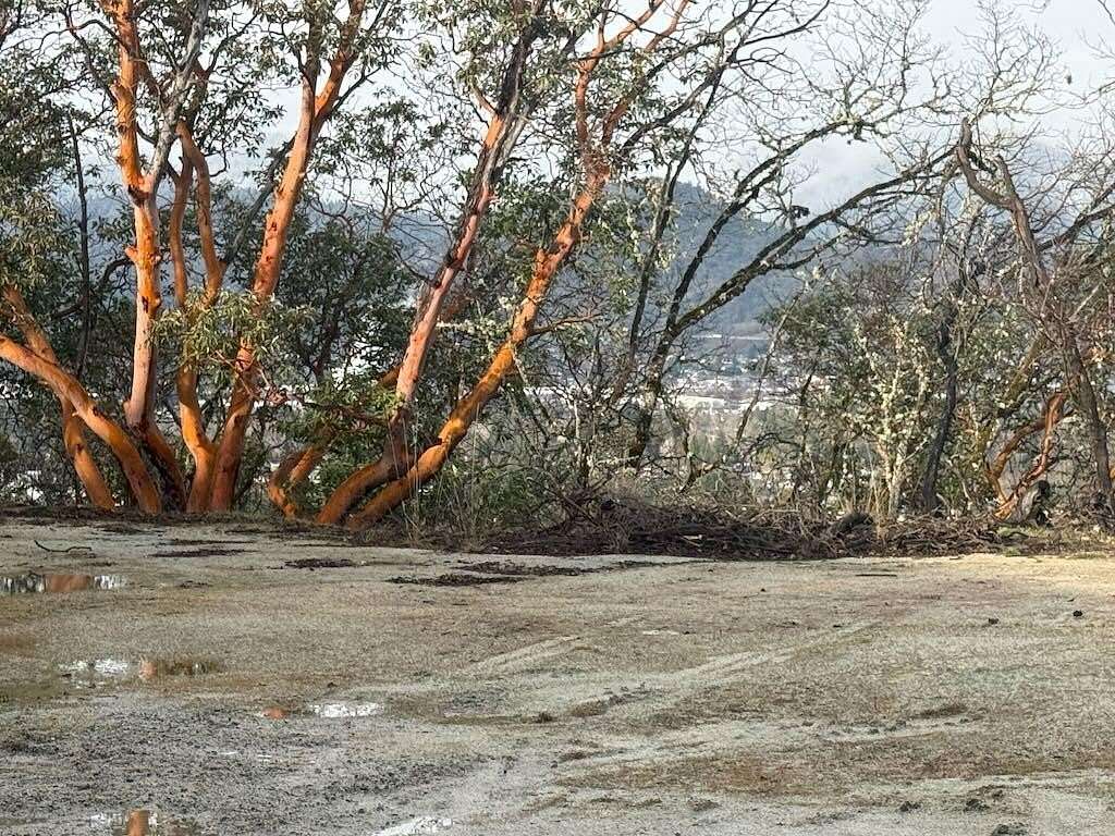 0.35 Acres of Residential Land for Sale in Grants Pass, Oregon