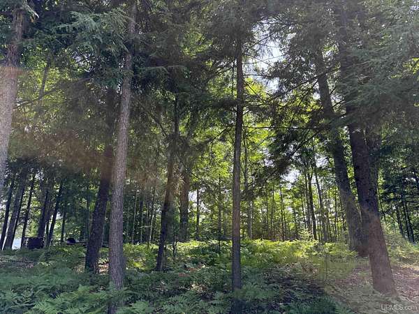 0.58 Acres of Residential Land for Sale in Cable, Wisconsin