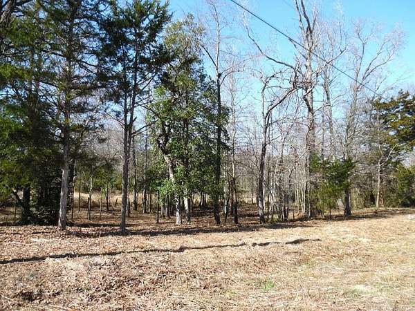 0.34 Acres of Residential Land for Sale in Murchison, Texas