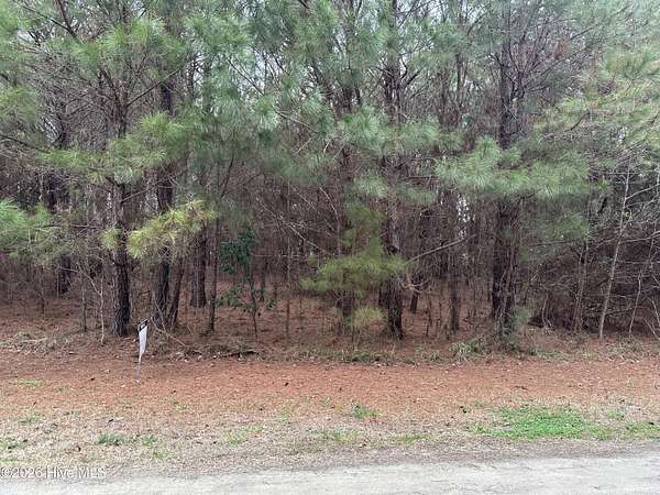 1.15 Acres of Residential Land for Sale in Clarendon, North Carolina