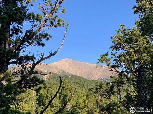 23.3 Acres of Recreational Land for Sale in Allenspark, Colorado