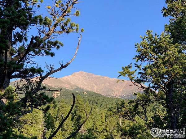 23.3 Acres of Recreational Land for Sale in Allenspark, Colorado