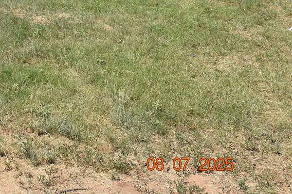 0.13 Acres of Residential Land for Sale in Lubbock, Texas