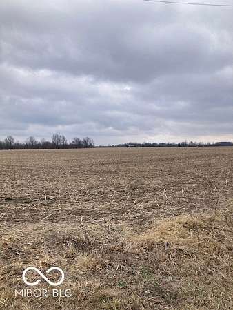 80 Acres of Agricultural Land for Sale in Greenfield, Indiana