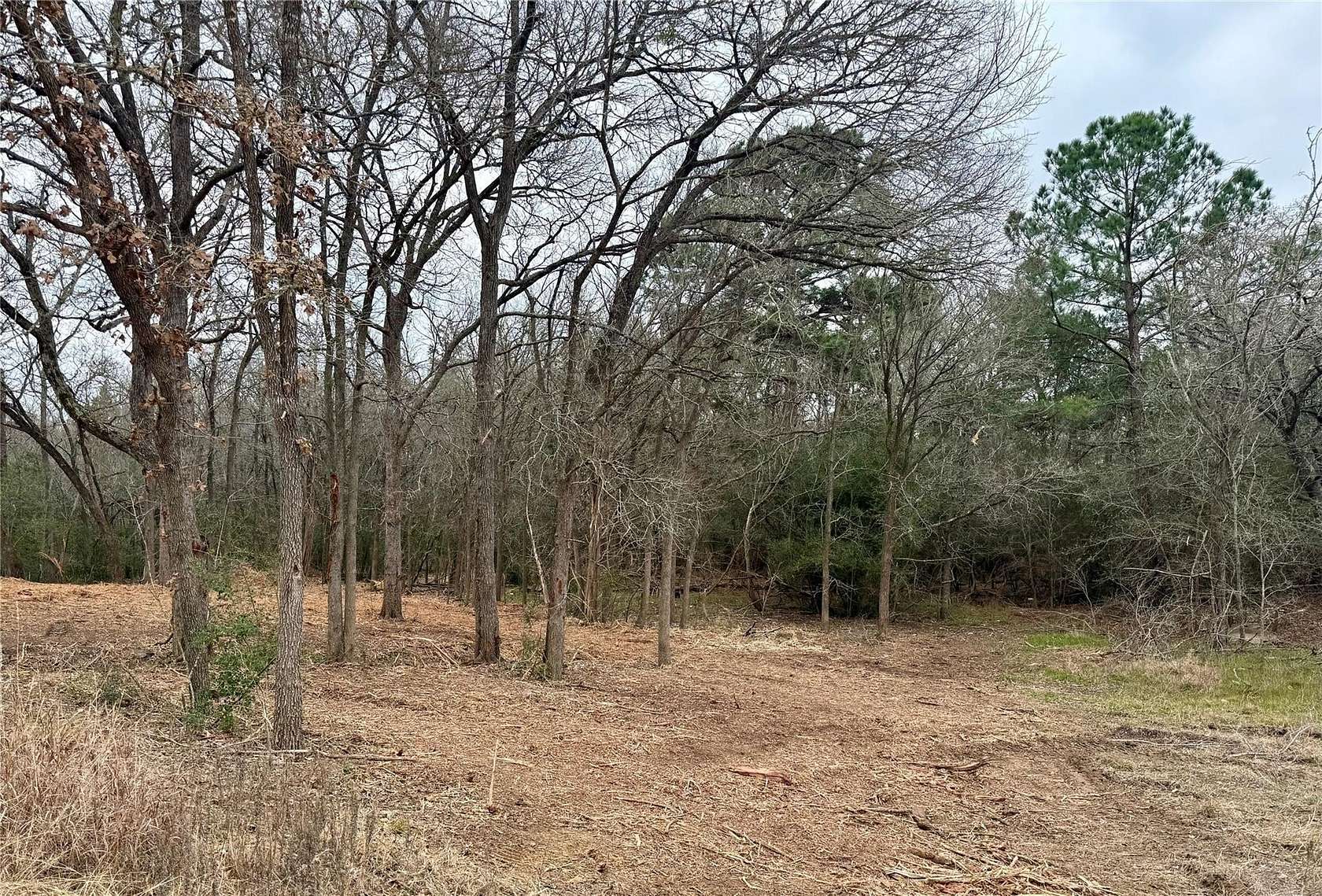 1.42 Acres of Residential Land for Sale in Bastrop, Texas