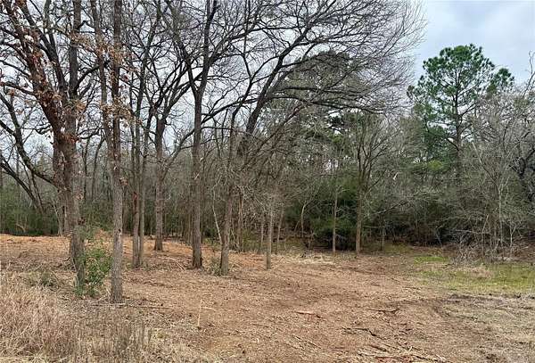 1.42 Acres of Residential Land for Sale in Bastrop, Texas