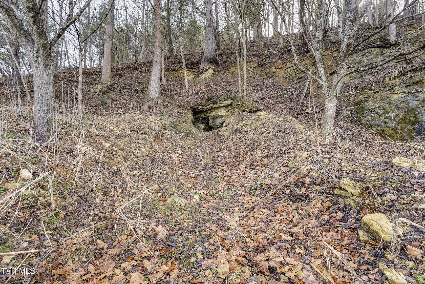 0.55 Acres of Residential Land for Sale in Mountain City, Tennessee