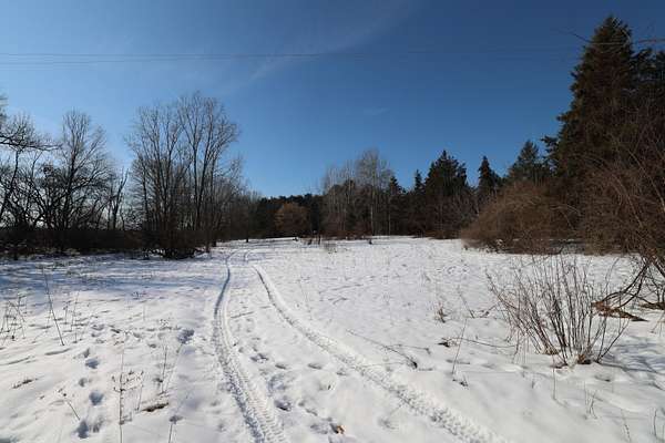 3 Acres of Residential Land for Sale in Greenville, Michigan