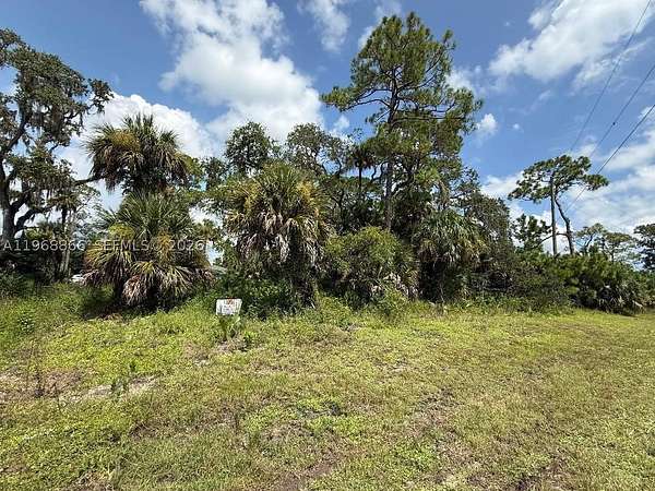 0.33 Acres of Residential Land for Sale in LaBelle, Florida