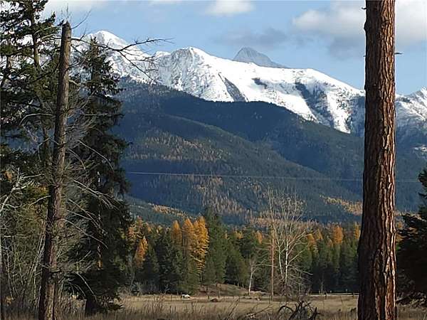 50.3 Acres of Recreational Land for Sale in Condon, Montana