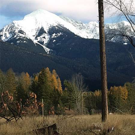 50.3 Acres of Recreational Land for Sale in Condon, Montana