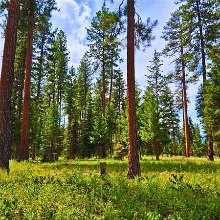 50.3 Acres of Recreational Land for Sale in Condon, Montana