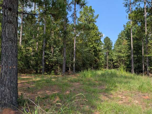 6.17 Acres of Residential Land for Sale in Lincolnton, Georgia