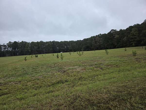 5.14 Acres of Land for Sale in Harlem, Georgia