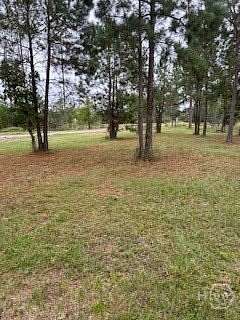 0.86 Acres of Residential Land for Sale in Townsend, Georgia