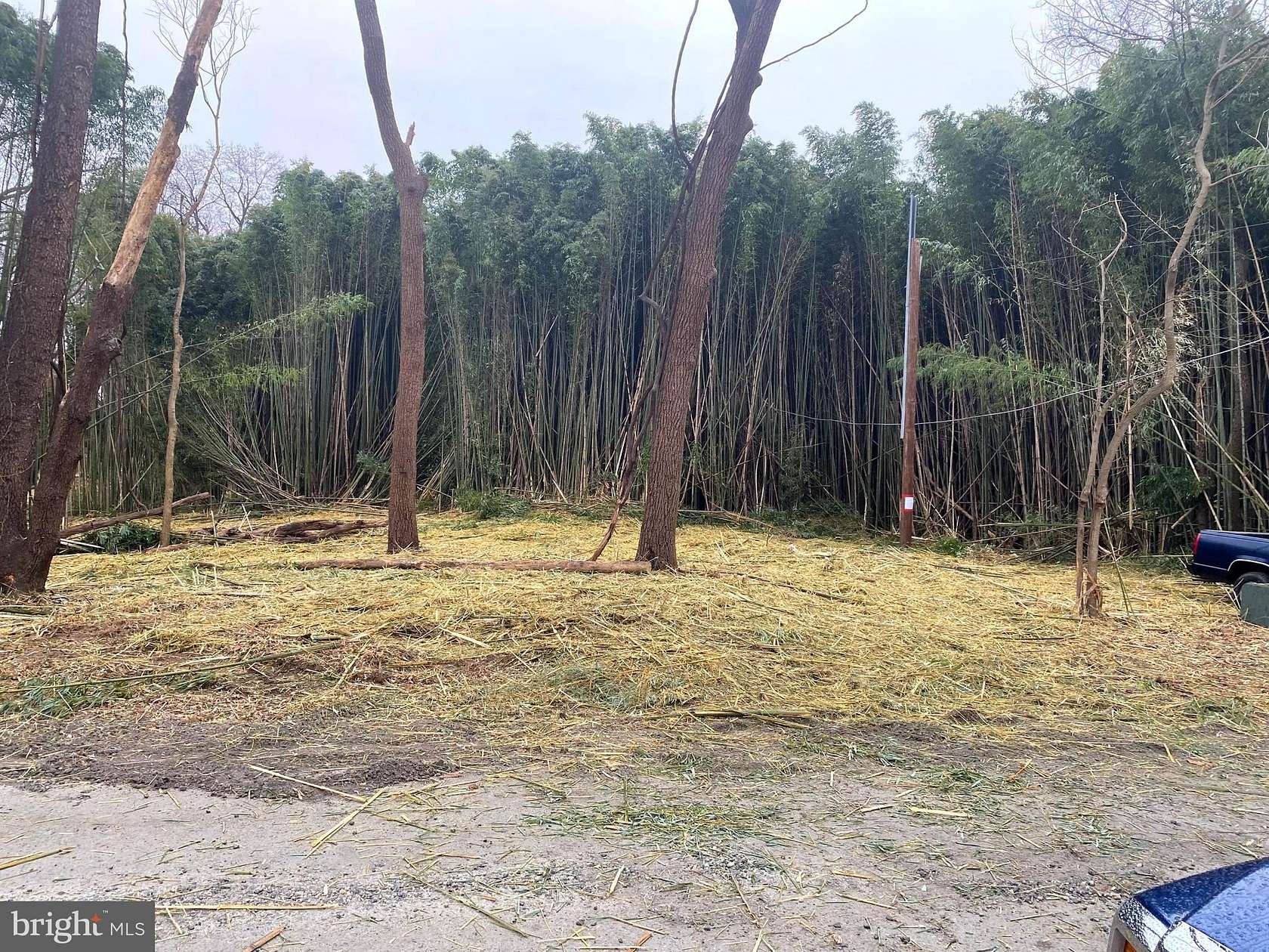 0.68 Acres of Residential Land for Sale in Earleville, Maryland