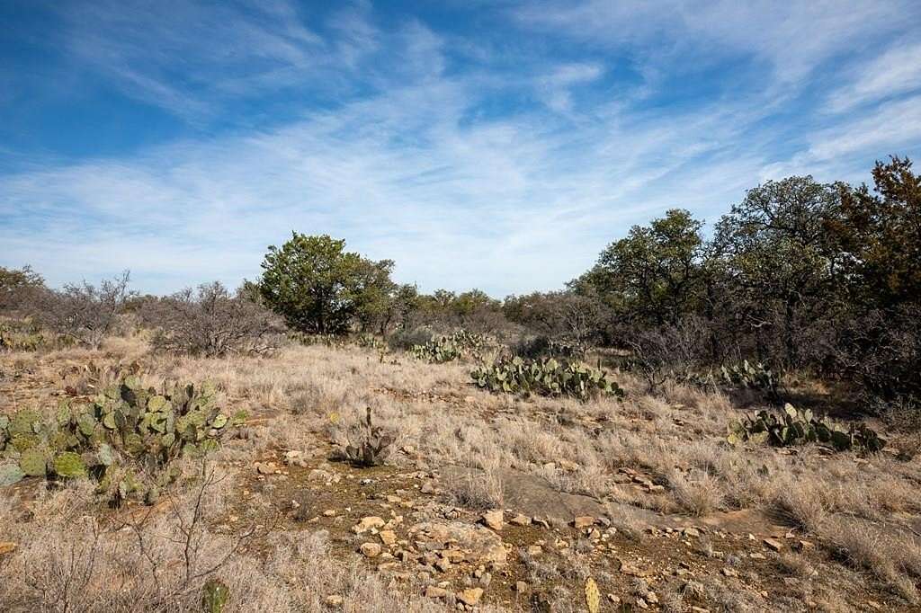 16.9 Acres of Land for Sale in Mason, Texas