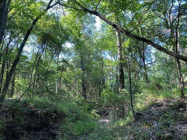12.4 Acres of Land for Sale in Athens, Texas