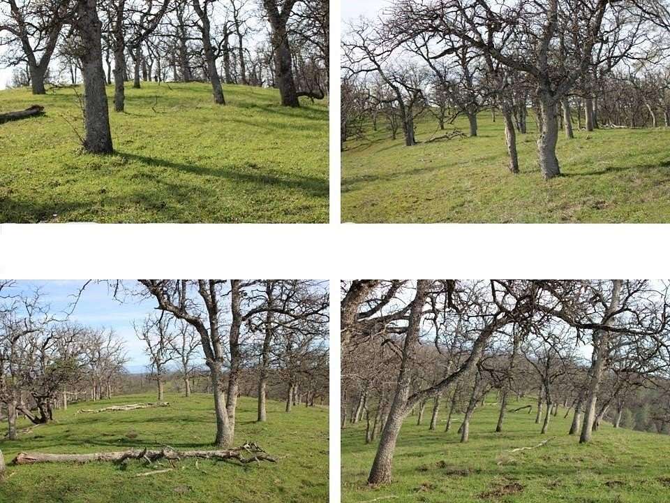 38.6 Acres of Land for Sale in Red Bluff, California