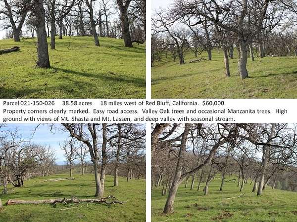 38.6 Acres of Land for Sale in Red Bluff, California