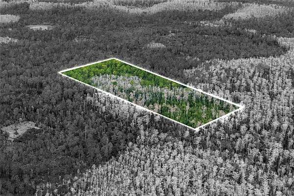 5.19 Acres of Land for Sale in Orlando, Florida