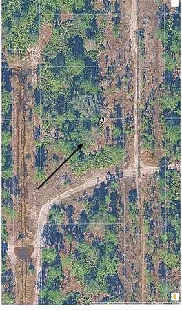 0.21 Acres of Residential Land for Sale in Alva, Florida