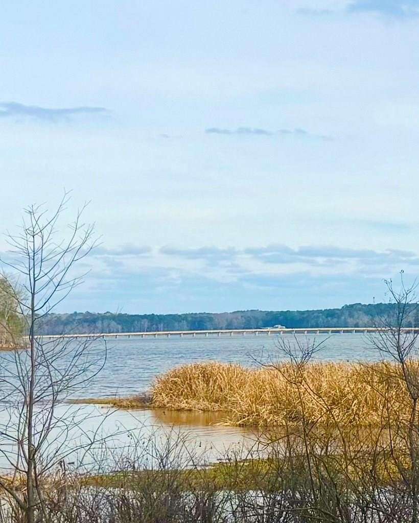 0.91 Acres of Residential Land for Sale in Hemphill, Texas