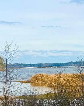 0.91 Acres of Residential Land for Sale in Hemphill, Texas